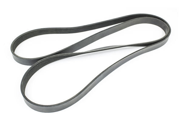 Sierra Serpentine Belt [18-15115]