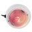 Perko Dome Light w/Red & White Bulbs [1263DP1WHT]