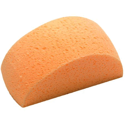 Captain's Choice All Purpose Sponge [M-985]