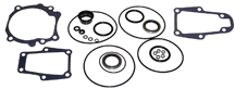 Sierra 182672 Seal Kit