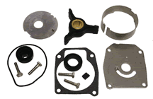 Sierra 183394 Water Pump Kit OMC