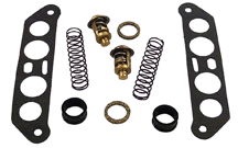 Sierra 183673 Thermostat Kit OMC