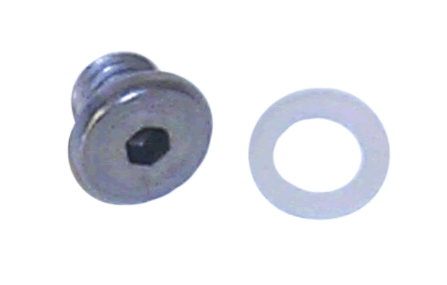 Sierra 184255 E-Tec Drain Screw