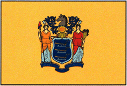 Taylor Made New Jersey State Flag 12x18 [93116]