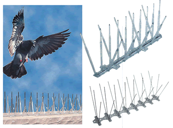 Bird-B-Gone 5" Plastic Bird Spikes 6' L